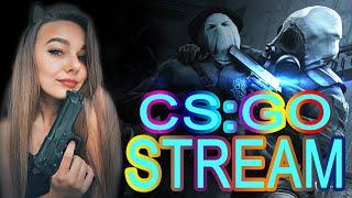 ❤ СТРИМ CS GO ❤/ ДЕВУШКА С ВЕБКОЙ / СТРИМ КС ГО /ИГРАЮ С ПОДПИСЧИКАМИ /BRODYSTREAM