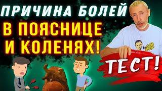 ТЕСТ! ПРИЧИНА БОЛЕЙ В ПОЯСНИЦЕ И КОЛЕНЯХ! 30секундная пиковая тренировка для сосудов