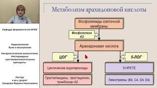 Ненаркотические анальгетики и НПВП