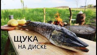 ЩУКА на диске из бороны!Это было вкусно))