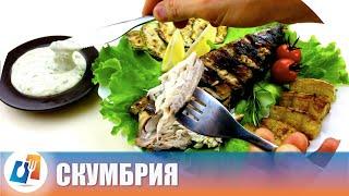 Легендарная СКУМБРИЯ ♨ Как приготовить АФРОДИЗИАК из скумбрии ✎ Рецепт