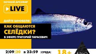 Ночной АРХЭфир "Как общаются селёдки?" в рубрике "Дайте Шнобеля!" [18+]