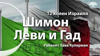 [8 часть] Колено Шимон, Леви и Гад. 12 колен Израиля. Рабанит Хава Куперман