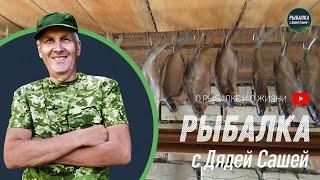 Рецепт таранки. Как солить рыбу дома. Таранка - лучшая закуска к пиву. Вяленая рыба. Засолка рыбы