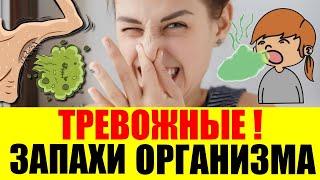 ПОТ.10 неожиданных причин из за которых вы плохо пахнете