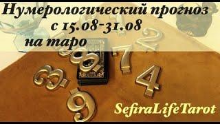 Нумерологический прогноз с 15.08-31.08 на картах таро по числу вашего рождения