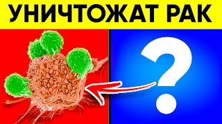 Онколог: Вот Эти 10 Продуктов Быстро Уничтожают Раковые Клетки!