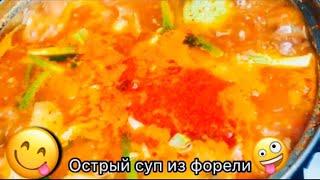 острый суп из форели(송어매운탕)