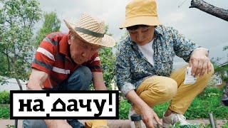 На дачу! С Наташей Барбье. Выпуск от 13.06.2020