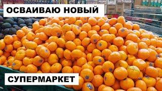 ЕЛЕ ДОТАЩИЛА ДОМОЙ ПРОДУКТЫ ИЗ НОВОГО СУПЕРМАРКЕТА