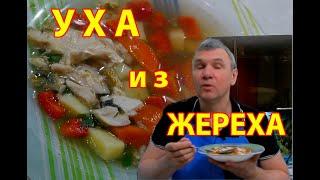 Уха из жереха - легкая, диетическая, ароматная и сытная одновременно