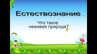 Естествознание 15. Что такое неживая природа?