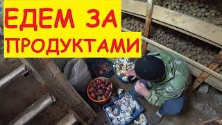 ЕДЕМ ЗА ПРОДУКТАМИ...