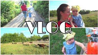 VLOG: ДЕРЕВЕНСКИЙ ЗООПАРК//БЫЧЕК ГЛАЗ НАВОСТРИЛ//СКОРО ВСЕ СЪЕДЯТ.