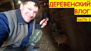 ДЕРЕВЕНСКИЙ ВЛОГ часть 2 / Участки снова засеял / Поездка в СДЭК