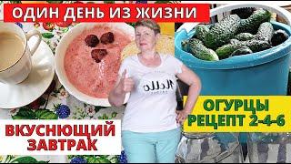 Самый вкусный завтрак. Заготовка огурцов началась. Один день из жизни .