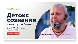 Свами Авадхут «Детокс сознания. Прямое включение в Реальность»