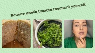 Рецепт хлеба/ дожди залили/косметические новинки