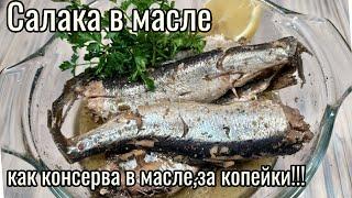 Рецепт салаки, вкусно,быстро,как приготовить салаку