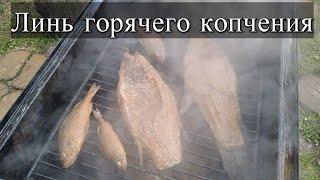 Коптим линей!!! Рыба горячего копчения!