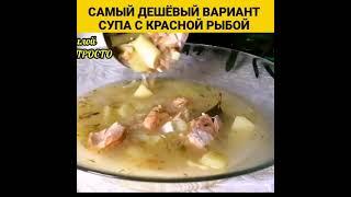 Самый быстрый, недорогой и очень вкусный вариант супа из красной рыбы | #Shorts