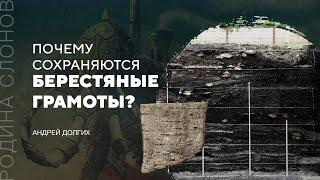 Почему сохраняются берестяные грамоты? Андрей Долгих. Родина слонов №295