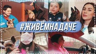 #ЖивемНаДаче день 2 | В гостях у папы, Мои братья