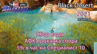 Сбор воды. АФК прокачка. Black Desert Фарм серебра 2021.