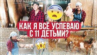 ДОЙКА КОРОВ, БРОЙЛЕРЫ И ГОТОВКА ЕДЫ НА ВСЮ СЕМЬЮ!!!