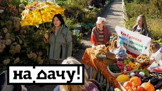 На дачу! С Ларисой Гузеевой. Выпуск от 11.10.2020