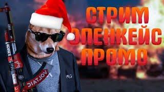 26.12 ДАЛИ СТРАЙК ССЫЛКА НА КАНАЛ ГДЕ СТРИМЫ В ОПИСАНИИ