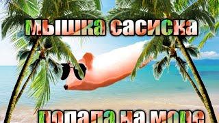 мышка сасиска попала на море