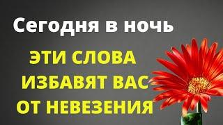 Сегодня в ночь эти слова избавят вас от невезения и отчаяния.