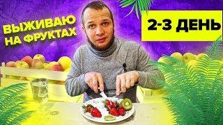 Выживание на Фруктах день 2-3