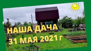 Скоро на даче будет свет. От малышей избавляться не будем. Пусть живут.