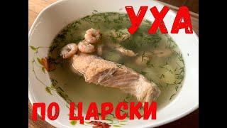 УХА ПО ЦАРСКИ ИЗ КРАСНОЙ РЫБЫ С КРЕВЕТКАМИ В КАЗАНЕ!!!