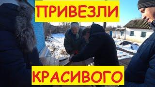 Поездка к БАБУШКАМ / Привезли продукты / Загрузили зерно / Семья в деревне